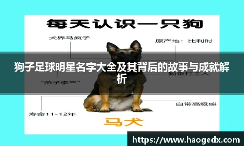 狗子足球明星名字大全及其背后的故事与成就解析